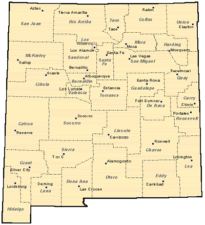 NM Counties